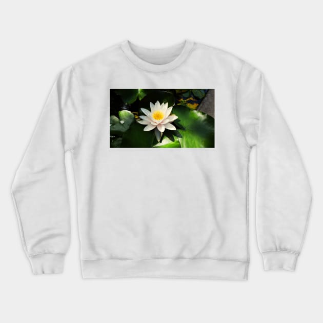 Water lily Crewneck Sweatshirt by thadz